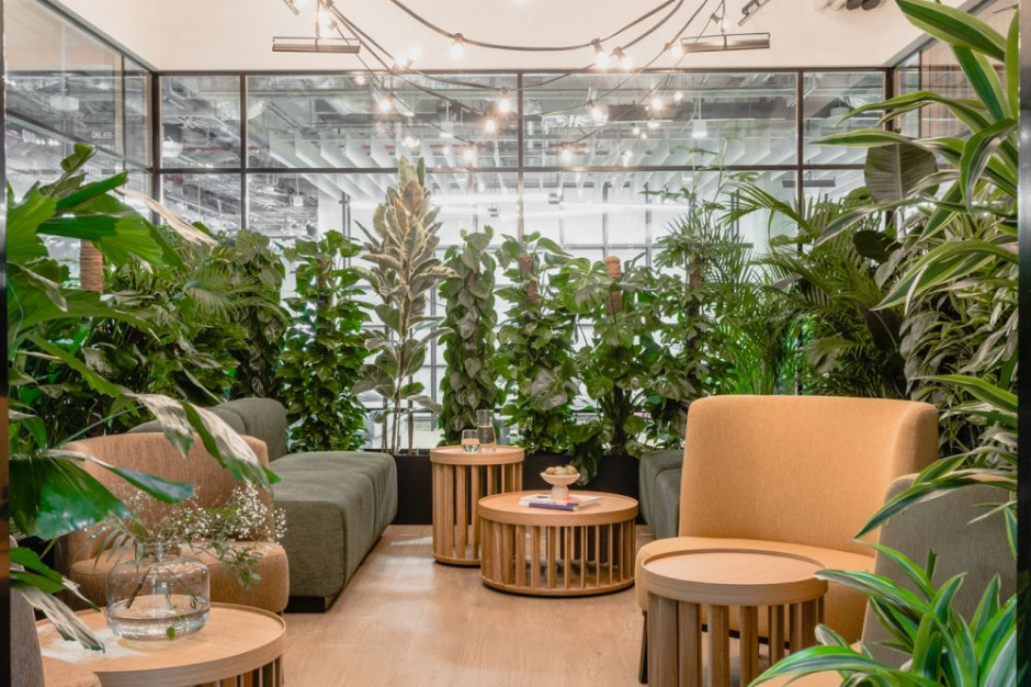 Biuro Allegro w Warszawie – jungle room, proj. The Design Group
